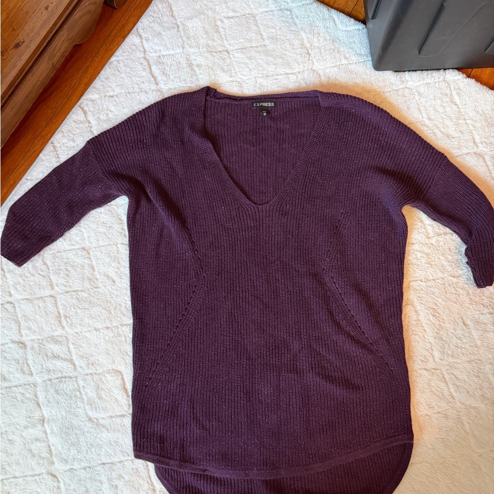Express Women's Deep Purple V-Neck Sweater